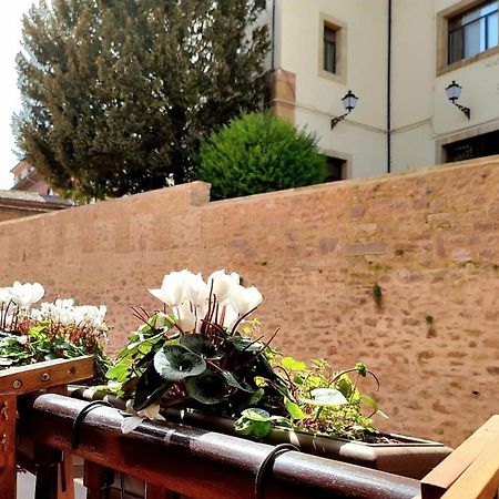 Apartament Nuevo-Casco Historico-Parking Gratuito. Oviedo Zewnętrze zdjęcie